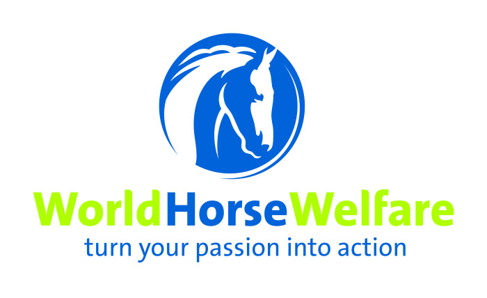 World Horse Welfare