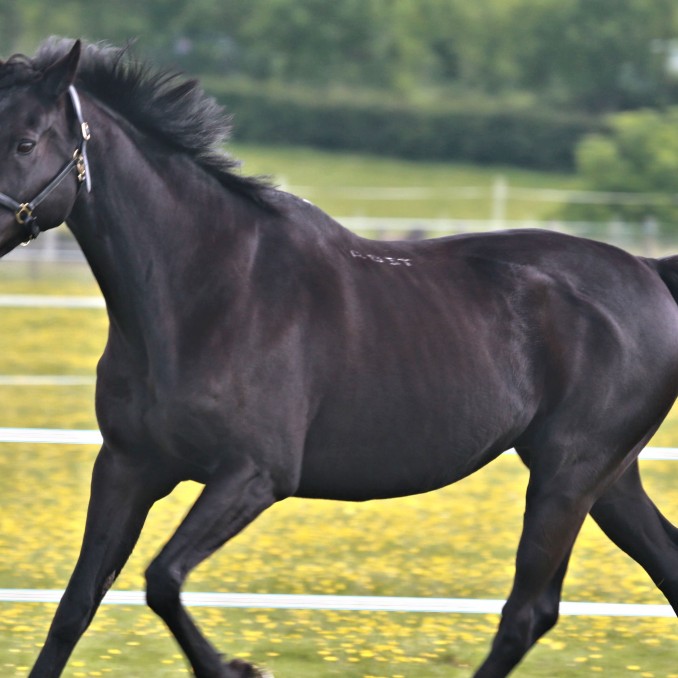 'Alfi' Threadgold