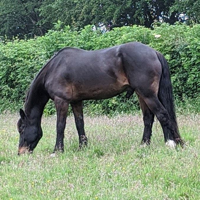 'Troy' Seabridge